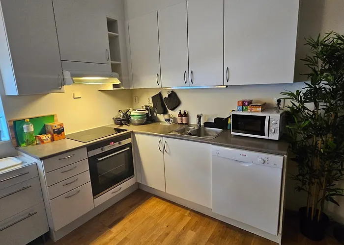 Sjarmerende Leilighet I Oslo