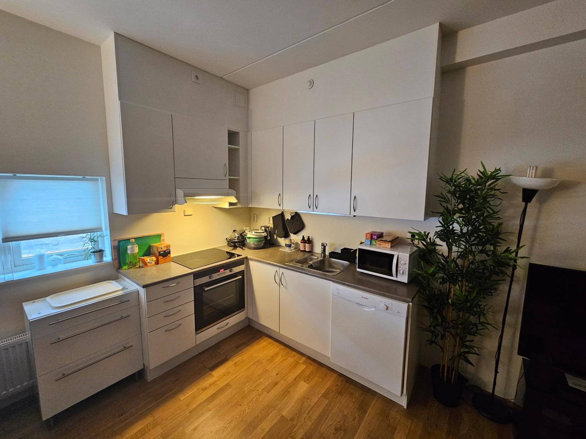 Appartamento Sjarmerende Leilighet I